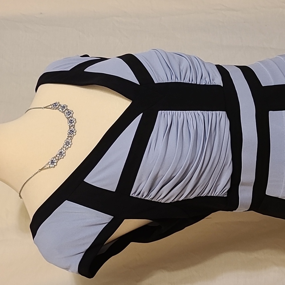 Jax Light Blue and Black Sheath Dress - Picture 10 of 15